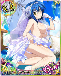 xenovia quarta from high school dxd