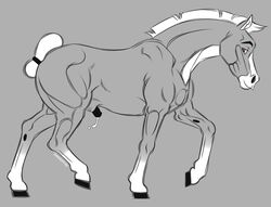 1boy 2018 anatomically_correct anatomically_correct_penis animal_genitalia animal_penis beasteros blaze_(marking) body_fur brown_eyes concorde equine equine_penis eyebrows feral flaccid_penis flirting grey_background grey_fur greyscale hooves horse horsecock inviting looking_at_viewer male male_only mammal mane markings monochrome penis pony precum seductive signature simple_background sketch smile socks_(marking) solo star_stable_online starshine_legacy tail_wraps walking white_hair white_mane white_markings wraps