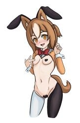 animal_ears animated blush dizzy_eyes dog_girl fangs heart-shaped_pasties heart_pasties hourglass_figure indie_virtual_youtuber koragi mismatched_legwear orange_eyes orange_hair pasties ponytail reverse_bunnysuit small_breasts smile striped_hair virtual_youtuber