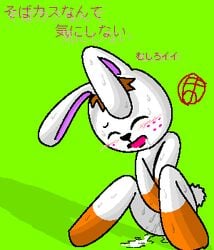 2008 animal_crossing artist_request blush brown_hair female female_only gabi_(animal_crossing) japanese_text masturbating masturbation nintendo rabbit straight_hair translation_request white_fur