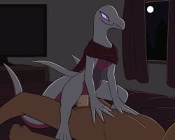 2d_animation 5:4 ahatas animal_genitalia animated balls bed bedroom bedroom_sex bestiality cloaca cloacal cloacal_penetration curtains dark-skinned_male duo female female_on_top feral feral_on_top feral_penetrated frame_by_frame furniture generation_7_pokemon genitals hi_res human human_on_bottom human_on_feral human_penetrating human_penetrating_feral interspecies loop lying male male/female male_on_bottom male_on_feral male_penetrating_feral mammal mostly_nude night nintendo nude on_back on_bed on_bottom on_top penetration penis pokemon pokemon_(species) pokephilia purple_eyes salazzle scarf scarf_only sex shiny_pokemon white_body window