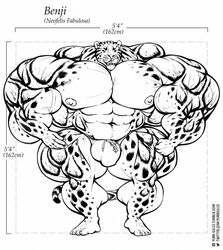 2018 abs anthro areola benji_(character) big_arms bulge clouded_leopard ear_piercing feline front_view hyper hyper_muscles mainlion male male_only mammal monochrome muscular muscular_male pecs piercing solo spots standing thick_thighs tongue veiny_muscles