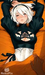 2b_(nier_automata) ai_generated areolae ass blush breasts completely_nude curvy female full_body hentai high_resolution highly_detailed large_breasts long_hair looking_at_viewer navel nekopix nier_automata nipples nsfw nude open_mouth patreon pussy rule34 seductive simple_background smile solo thick_thighs thighs uncensored wide_hips