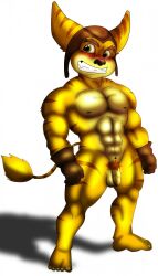 Ratchet (Ratchet And Clank) Rule 34 Image