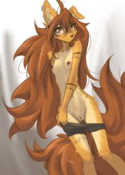 1girls 2026 anthro apogee apogee_(tinygaypirate) breasts breedable brown_fur brown_hair canid canine canis cute dog_ears domestic_dog earrings exposed_breasts exposed_pussy female freckles freckles_on_face freckles_on_pussy furry furry_female furry_only horny horny_female hot long_hair looking_at_viewer naked naked_female naked_furry nipples pants pulling_down_pants pussy pussy_slit sexy slim tagme tattoo tattoos tinygaypirate