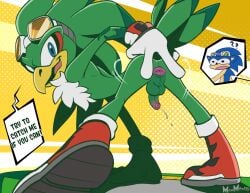 2boys anthro anus ass balls jet_the_hawk male mawile123 penis presenting_anus sonic_(series) sonic_the_hedgehog