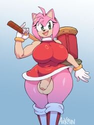 amy rose from sega by arkman