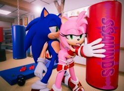 amy rose from sega by ssawnds