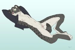 2013 Rule 34 Image