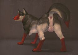 anatomically_correct anatomically_correct_anus anatomically_correct_genitalia animal_genitalia anus ass balls black_body black_fur black_nose brown_background canid canine canine_genitalia cosmiclife feral fur genitals green_eyes koma_bloodpaw looking_at_viewer looking_back male mammal multicolored_body multicolored_fur pink_anus presenting presenting_anus presenting_hindquarters raised_tail rear_view red_body red_fur simple_background tail tan_body tan_fur