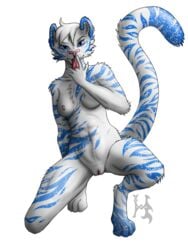 anthro areola azura_(character) blue_eyes breasts clitoris feline female fur hair hybrid-no.1 licking looking_at_viewer mammal nipples nude presenting presenting_pussy pussy saliva solo spread_legs spreading tiger tongue tongue_out white_fur white_hair