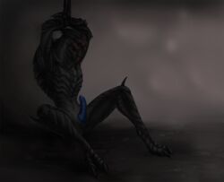 3033 alien animal_genitalia anus auguscus_acilcolus blue_penis bound erection genital_slit hands_tied male male_only mass_effect nude penis sitting slit spread_legs spreading turian video_games