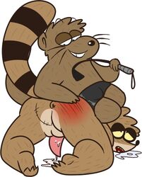 anus ass balls black_underwear cartoon_network clothing cum cum_on_penis doug_(regular_show) drooling half-closed_eyes male_only mammal mustelid otter penis procyonid raccoon regular_show rigby_(regular_show) saliva scar spanking teeth underwear whip whip_marks