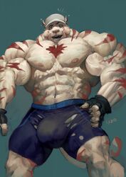 anthro body_hair bulge chest_hair clothed clothing feline goroguro hat male male_only mammal muscular muscular_male open_mouth pecs solo standing tight_clothing topless torn_clothing wardrobe_malfunction