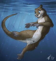 1boy 2018 animal_genitalia anthro balls blue_eyes brown_fur claws fur lizet looking_up male male_only mammal multicolored_fur mustelid nude otter sheath signature solo swimming toe_claws two_tone_fur underwater water webbed_feet webbed_hands webbing whiskers white_balls