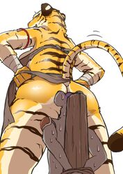 amazon ambiguous_gender bondage bound feline female furry mammal no_humans suzume_333 sweat tiger tribal