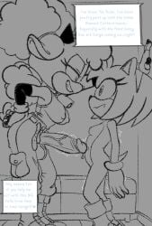 amy rose from idw publishing by raijinoni