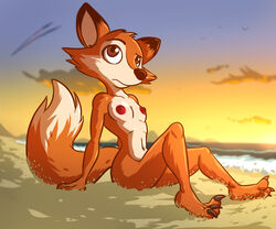 1girls 3_toes anthro bassywolfeh beach breasts canine darma female female_only fox navel nipples nude nude_beach rock_dog seaside small_breasts solo