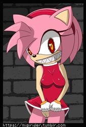 amy_rose boo_(sonic) ghost possessed possessed_amy_rose possession sonic_(series)