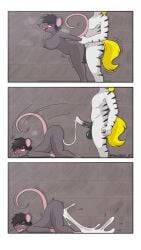 absurd_res animal_genitalia animal_penis anthro blush blush_lines bodily_fluids cum cum_expulsion cum_in_pussy cum_inside cum_splatter cumshot duo ejaculation equid equine equine_genitalia equine_penis excessive_cum excessive_genital_fluids female genital_fluids genitals hi_res male male/female mammal mature_anthro mature_female monroe_(pencil_bolt) murid murine pencil_bolt pencil_bolt_(pencilbolt) penis rat rodent zebra