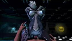 3d animated breasts cowgirl_position female grinding human human_penetrating male no_sound penis pov saryn_(warframe) source_filmmaker video warframe wattchewant