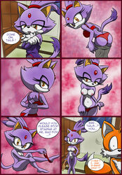 blaze the cat from sonic (series) by raianonzika
