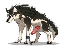 animal_genitalia animal_penis balls big_balls blue_eyes brown_body brown_fur canid canine canine_genitalia canine_penis canis countershade_face countershade_fur countershade_tail countershade_torso countershading cuff_(restraint) ear_piercing ear_ring erection feral fogatdusk fur furry genitals knot link looking_at_viewer male mammal mouth_closed nintendo paws penis piercing quadruped restraints ring_piercing shackles shadow simple_background solo tail the_legend_of_zelda vein veiny_penis white_body white_fur wolf wolf_link