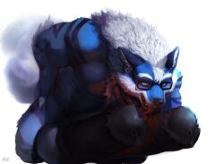 2_penises anthro auto_penis_lick balls big_balls big_penis black_penis blue_body blue_fur canid canine diphallia diphallism dust_yang ear_piercing erection eyewear fur gauged_ear genitals glasses huge_balls huge_cock hyper hyper_genitalia hyper_penis inner_ear_fluff kris_(aolun) licking male mammal masturbation multi_genitalia multi_penis muscular muscular_anthro muscular_male nude open_mouth oral oral_masturbation orange_eyes penile penile_masturbation penis piercing rectangular_glasses self_lick simple_background solo tongue tongue_out tuft wearing_glasses white_background white_inner_ear_fluff