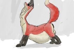 animal_genitalia anus arms_above_head balls belly big_anus big_belly black_anus black_body black_fur canid canid_taur canine canine_taur colored eyewear feet fox fox_tail fox_taur fur genitals grey_background guide_lines huge_anus jeri_kleinlowe male male_focus mammal mammal_taur nude_male nude_taur orange_body orange_fur puffy_anus raised_tail sheath simple_background smile solo standing stretching sunglasses tail taur vincent_(vincent) white_balls white_body white_fur white_sheath