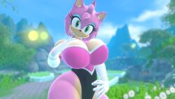 3d 3d_(artwork) amy_rose amy_rose_(reivene3d) amy_rouge big_ass big_boobies big_breasts big_butt big_thighs big_titties blue_eyeshadow busty busty_female curvaceous_female curvy curvy_female curvy_hips diadem eyelashes gloves green_eyes hedgehog_ears hedgehog_girl hedgehog_humanoid hourglass_figure hourglass_figured_female large_breasts muscular_anthro muscular_female pink_fur pink_hair reivene3d rouge_the_bat_(cosplay) sega sonic_(series) sonic_the_hedgehog_(series) thick_ass thick_butt thick_hips thick_thighs thin_waist tight_clothing voluptuous voluptuous_anthro voluptuous_female wide_hips wide_thighs