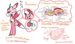 1girls anatomically_correct animal_genitalia antennae anthro cloaca clothed clothing cross_section diagram educational female female_only feral flat_chest insect insect_abdomen_pussy lurantis m3rr1w34th3r mantis model_sheet nintendo nude ovipositor pink_eyes pink_skin pokémon_(species) pokemon pokemon_sm pussy solo standing text video_games white_background