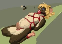 2011 anthro arms_tied ball_gag balls blonde_hair blue_eyes bondage bound brown_body brown_fur colored erection feet feet_tied fur gag gagged genitals green_background green_balls grey_background hair hands_behind_back humanoid_genitalia humanoid_penis jeri_kleinlowe lying male male_only mammal mouse murid murine nipples nude_male on_back penis pink_nipples pink_penis red_ball_gag restraints rodent rope rope_bondage simple_background solo tan_balls tan_body tan_fur