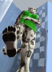 2011 anthro arokha black_body black_fur bottomless clothed clothing colored detailed_background feet felid female fur genitals green_clothing green_shirt green_topwear grey_body grey_fur hi_res inside jeri_kleinlowe long_tail macro macro_anthro macro_female mammal markings micro_pov pantherine pussy shirt shower snow_leopard solo spots spotted_body spotted_fur tail topwear vulva