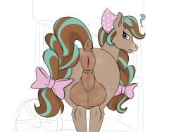 cocoa (wild manes) from wild manes