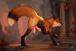 anchee animal_genitalia animal_penis anus balls black_claws black_nose black_pawpads brown_balls brown_body brown_fur brown_tail canid canine canine_genitalia canine_penis claws dipstick_tail feral fox fur genitals green_eyes hi_res knot male mammal markings pawpads penis solo tail tail_markings tongue tongue_out white_tail_tip