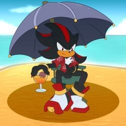 1boy drai_(artist) male male_only sega shadow_the_hedgehog shoes sonic_(series) sonic_the_hedgehog_(series)
