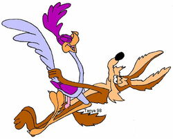 1990s 1998 20th_century ambiguous_gender interspecies male/ambiguous male_focus male_only penetration penis road_runner_(looney_tunes) roadrunner sex soft_feathers tagme warner_brothers wile_e._coyote