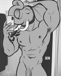 abs anthro armpit_hair bathroom bgn black_and_white body_hair cellphone chad_(bgn) elephant elephantid facial_hair flaccid genitals grey_body hands_behind_head hi_res humanoid_genitalia humanoid_penis male male_only mammal monochrome muscular muscular_anthro muscular_male nipples nude pecs penis phone pose proboscidean selfie solo tattoo trunk tusks