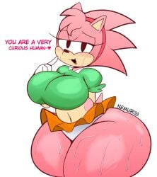 amy rose from sega by nemuri18