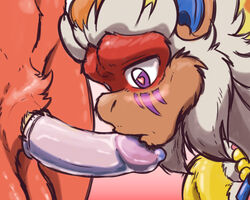 2boys alternate_color anthro avian baraaya big_penis blaziken blush brown_fur close-up condom furry gay heart heart-shaped_pupils infernape interspecies isuku kiss looking_down male male_only monkey nintendo nude oral original_character penis penis_awe penis_kissing pink_background pokemon pokemon_(species) pokemon_dppt pokemon_rse purple_eyes red_skin video_games wearing_condom white_fur yaoi zenmigawa