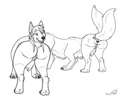 2_tails anthro buttface canine drawn female fox mammal merging monochrome multi_genitalia multi_pussy multi_tail nisharu pussy signature simple_background taur what white_background wolf