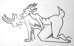 2boys anal anal_sex antelope black_and_white bucky_oryx-antlerson disney duo gay line_art male male_only mammal monochrome nontoxo nude oryx pen_(artwork) penetration pronk_oryx-antlerson simple_background sketch traditional_media_(artwork) white_background yaoi zootopia