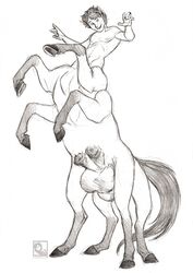 1boy anthro athletic athletic_male balls centaur diphallia diphallism equine equine_taur kitsune_foxtaur long_body male male_focus male_only mammal monochrome multi_balls multi_genitalia multi_leg multi_limb multi_penis muscular muscular_male on_hind_legs penis sketch sleipnir solo solo_focus solo_male standing taur toned toned_male