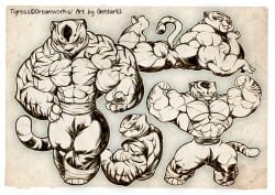 abs biceps feline female gettar82 kung_fu_panda master_tigress muscles muscular muscular_arms muscular_female muscular_legs muscular_thighs needs_breasts pecs tiger