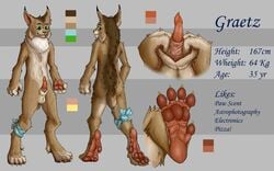 animal_genitalia barbed_penis feet feline graetz grasky invalid_tag lynx male male_only mammal model_sheet paws penis sheath soles solo toes