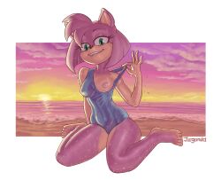 amy rose from sega by jagonda