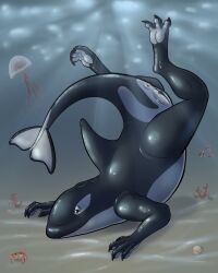 Booru post from rule34.xxx