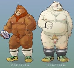 0duub0 2018 anthro balls bear belly black_nose blue_background blush brown_fur duo english_text eyewear flaccid fur glasses humanoid_hands male male_only mammal moobs nipples overweight overweight_male penis polar_bear simple_background text white_fur