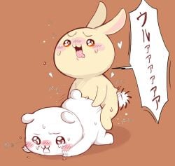chiikawa (character) from chiikawa by zsloth