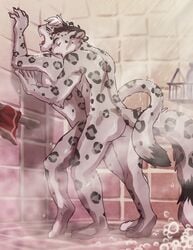 2015 anal anthro anthro_on_anthro ass claws duo feline fur hair humanoid_hands leopard male mammal mars_(thequeenofmars) nude otherwords shower snow_leopard spots spotted_fur thestory tsarin yaoi